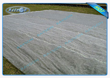 Предохранение от ткани ландшафта воды проницаемое Non сплетенное UV для mulch земледелия