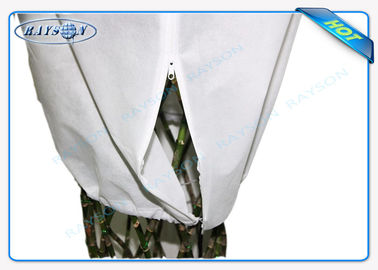 Ткань Nonwoven материала сумки ткани крышки земледелия PP Spunbond не сплетенная