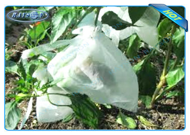 Завод Агикултуре Нонвовен растет сумки для роста плода и защита, картошка растет сумки