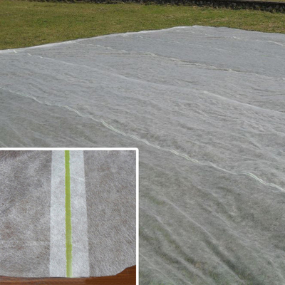 предохранение от замораживания овоща листа не сплетенной ткани 200gsm Spunbond агро для на открытом воздухе крышки завода