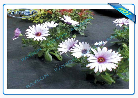 Предохранение от 3% УЛЬТРАФИОЛЕТОВОЕ 10 год гарантирует аграрную не сплетенную предусматрива Spunbond в черном цвете