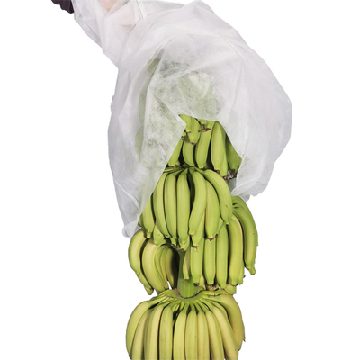4% УЛЬТРАФИОЛЕТОВАЯ сумка крышки пука банана Спунбонд Пп не сплетенная в белой сини