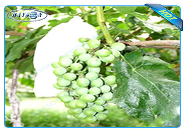 Сумка предохранения от плода Нонвовен ОЭМ устранимая на см 22км размера 20 виноградины