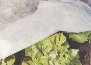 Ткань крышки земледелия Spunbond Non сплетенная, ткани PP ландшафта для зеленого дома